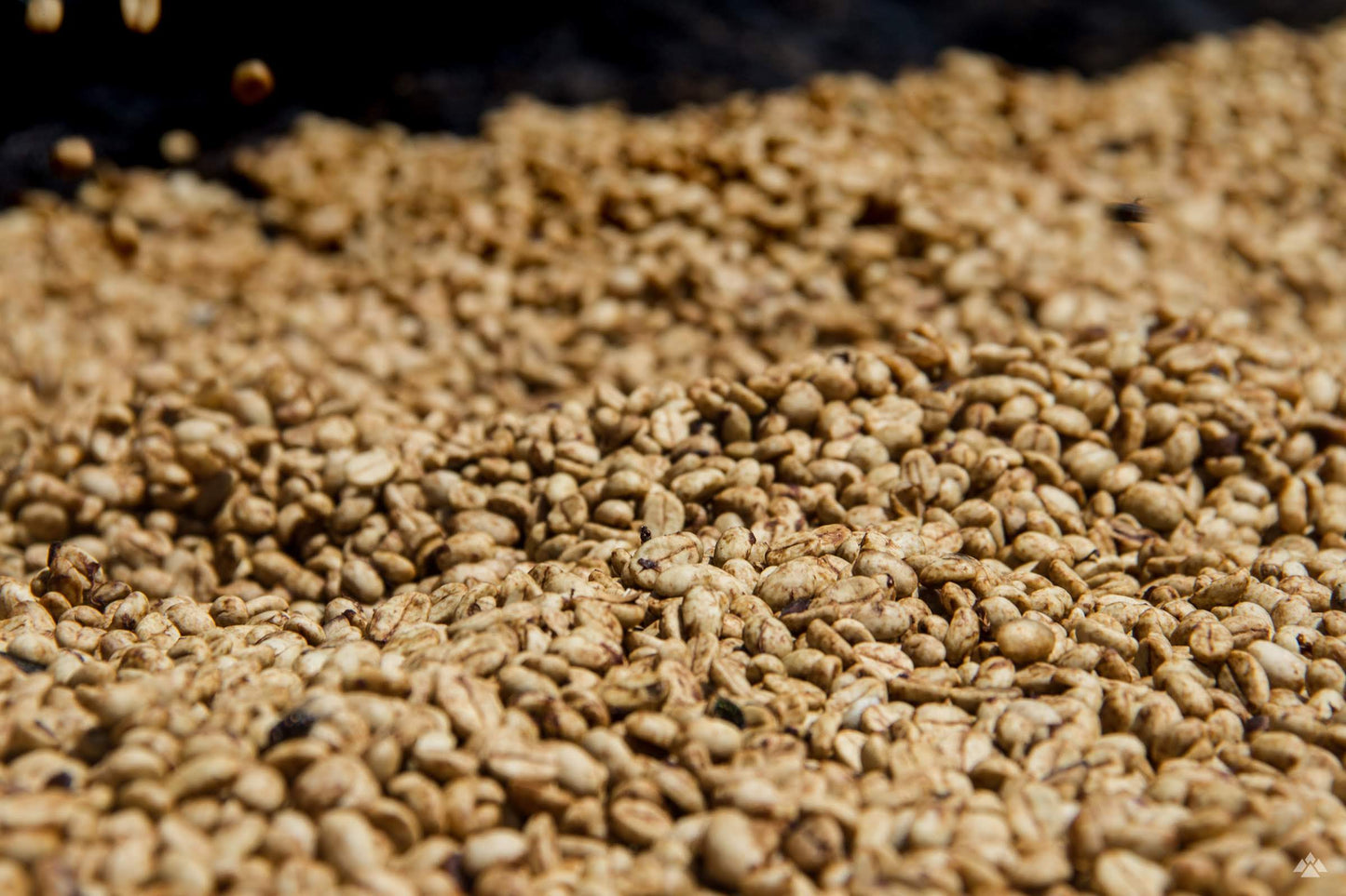 Bumbogo coffee processing