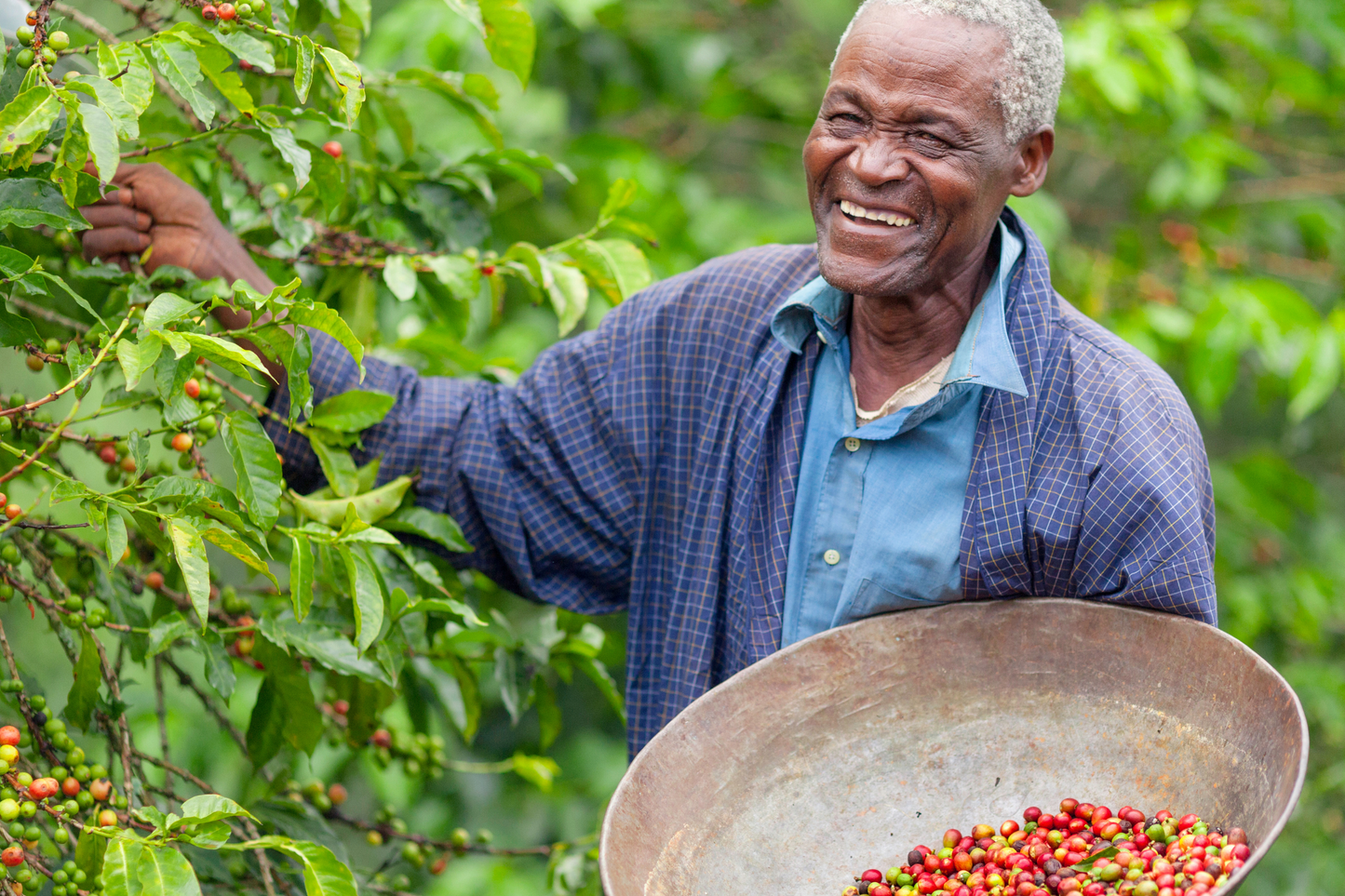 ESPRESSO KENYA DOONDU ESTATE