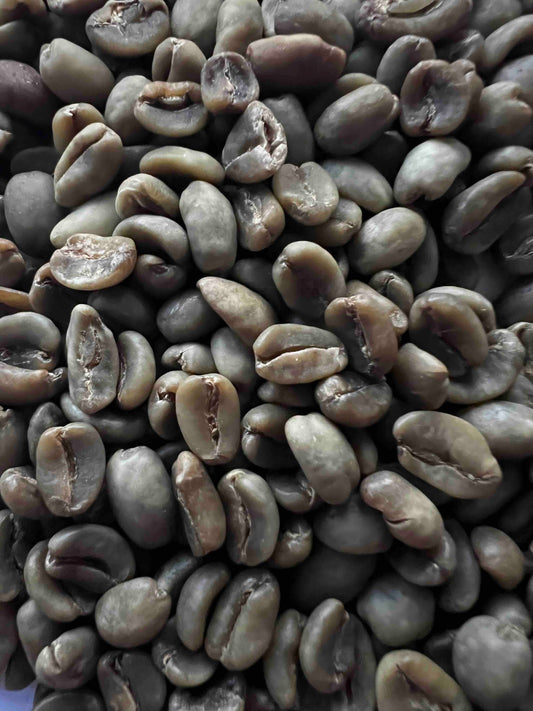 ETHIOPIA LALA SALAMA SPARKLING WATER DECAF GREEN