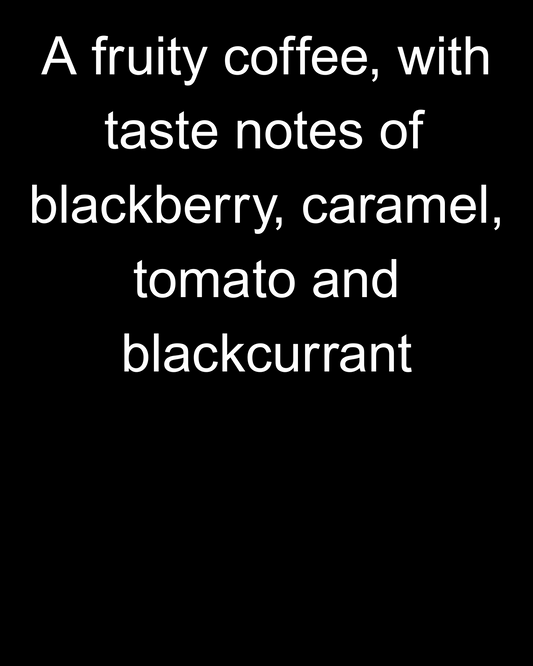 Description of Kenya Doondu Estate Coffee 'fruity with taste notes of blackberry'