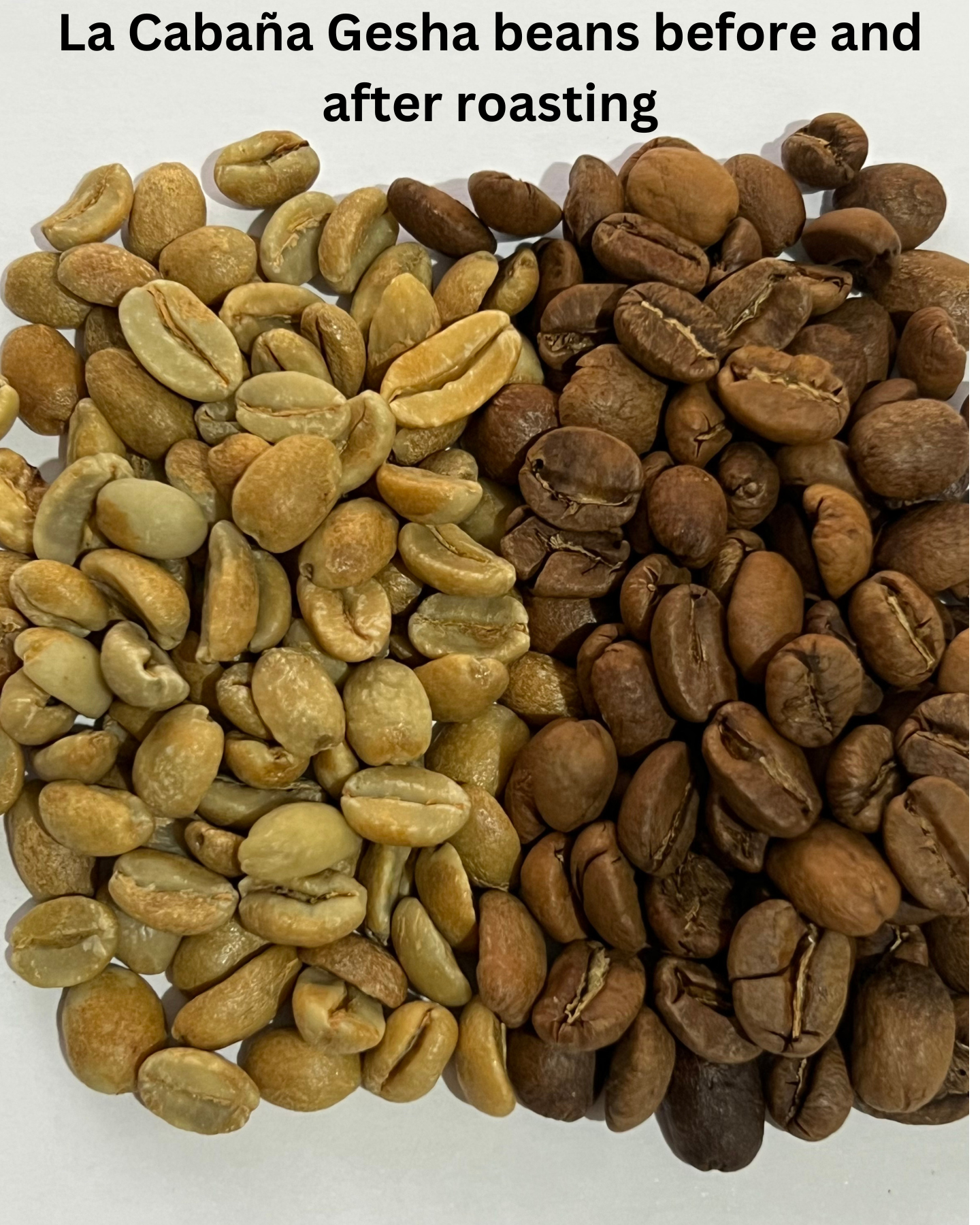 ESPRESSO COLOMBIA LA CABAÑA GESHA