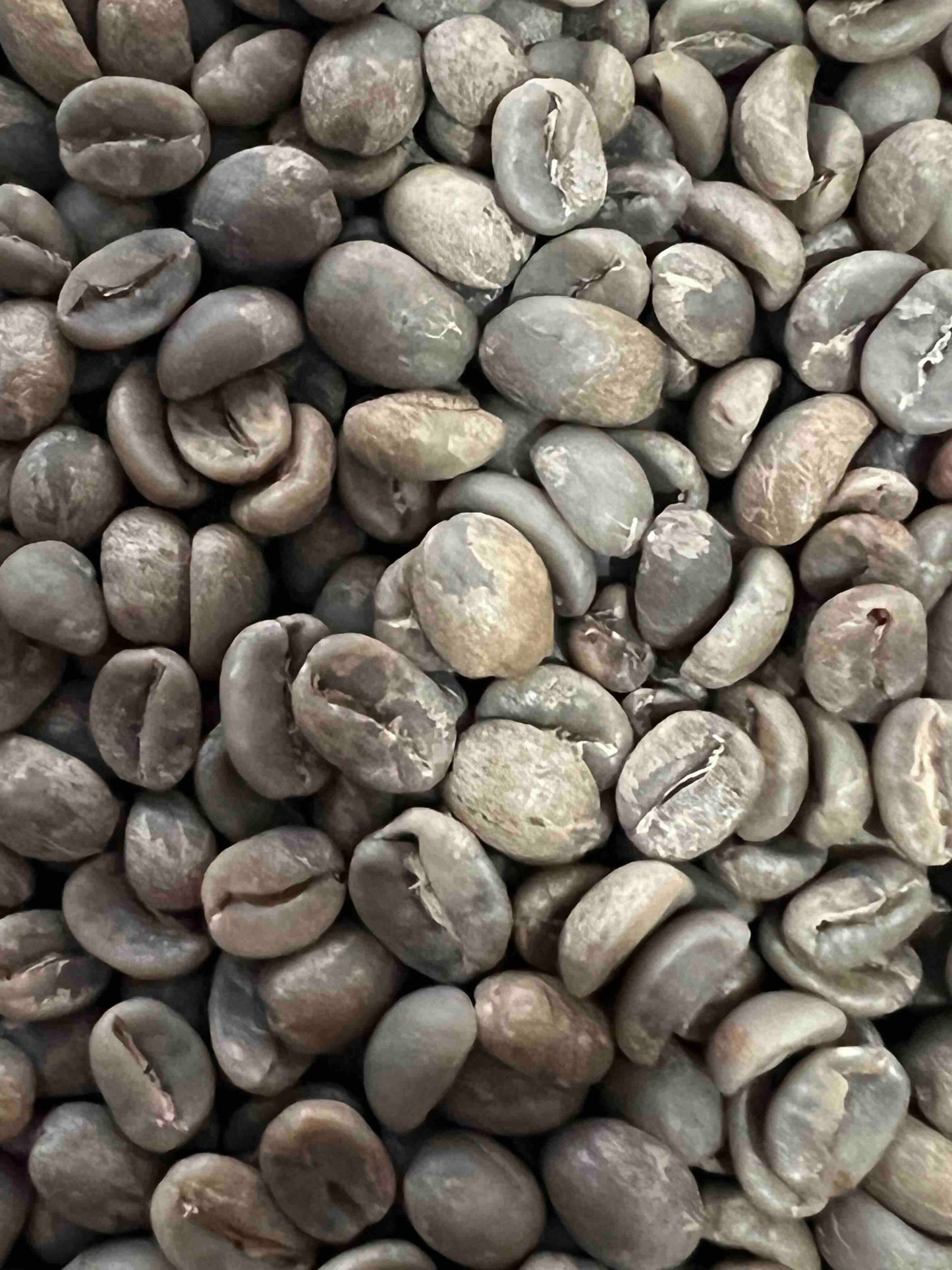PERU CAJAMARCA WASHED GREEN