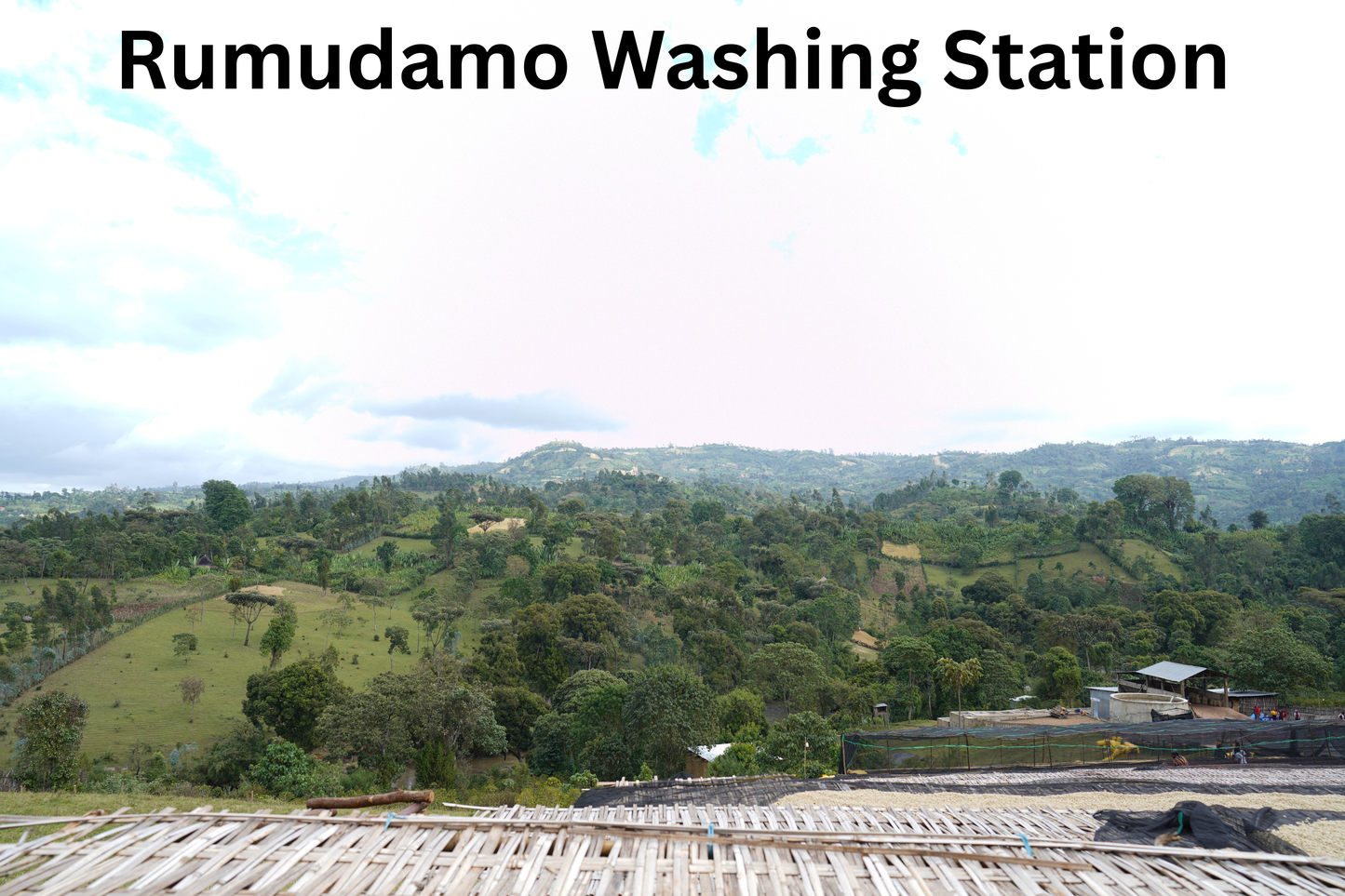 ETHIOPIA RUMUDAMO NATURAL