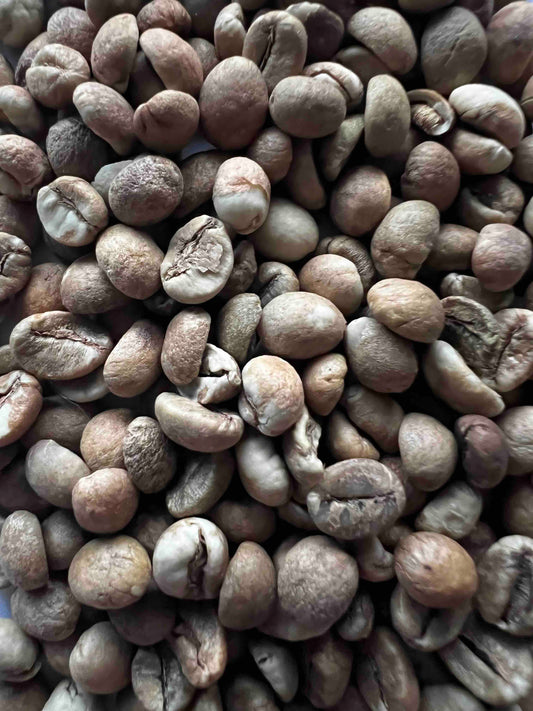 UGANDA ROBUSTA SPECIALTY NATURAL GREEN