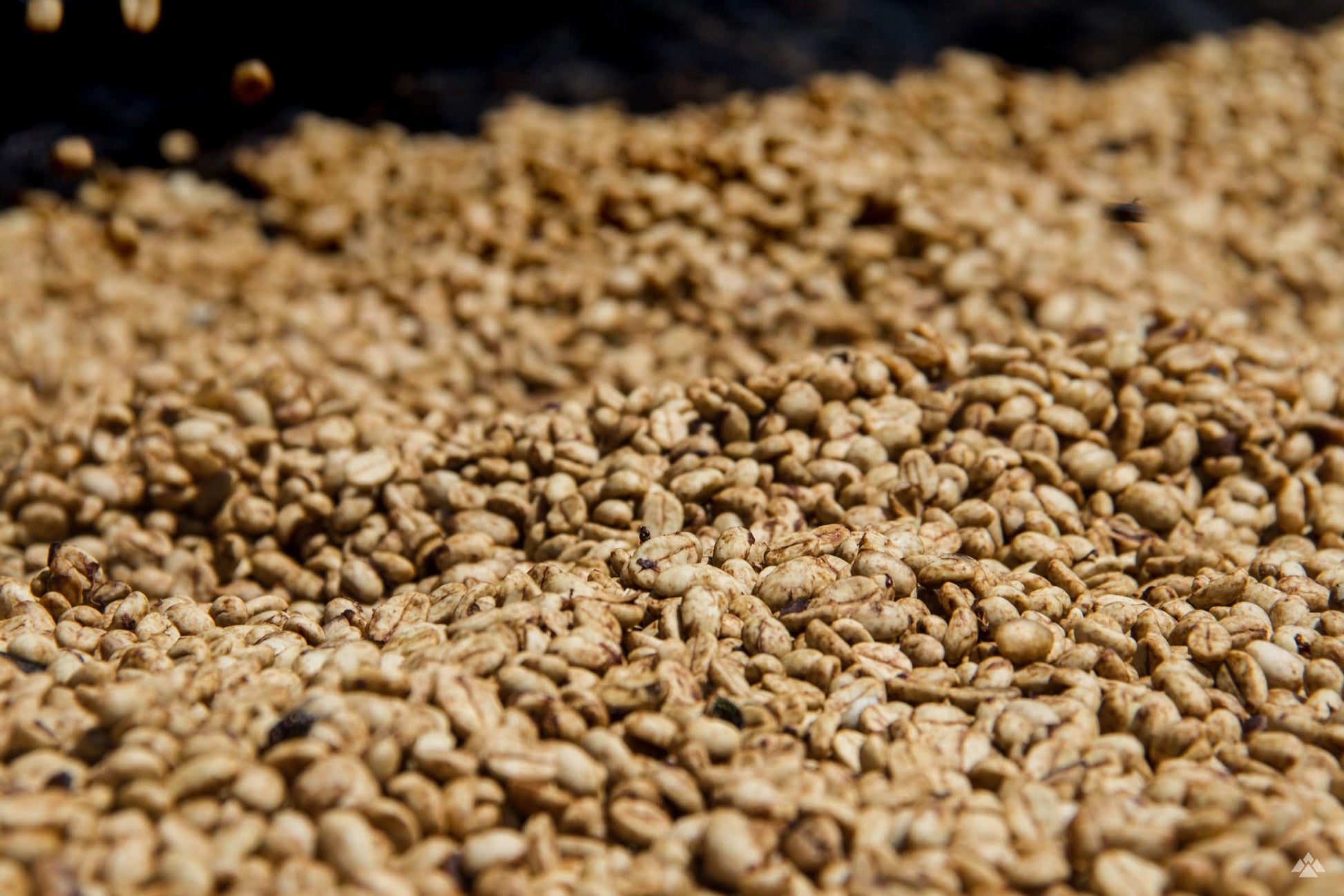 Bumbogo coffee processing