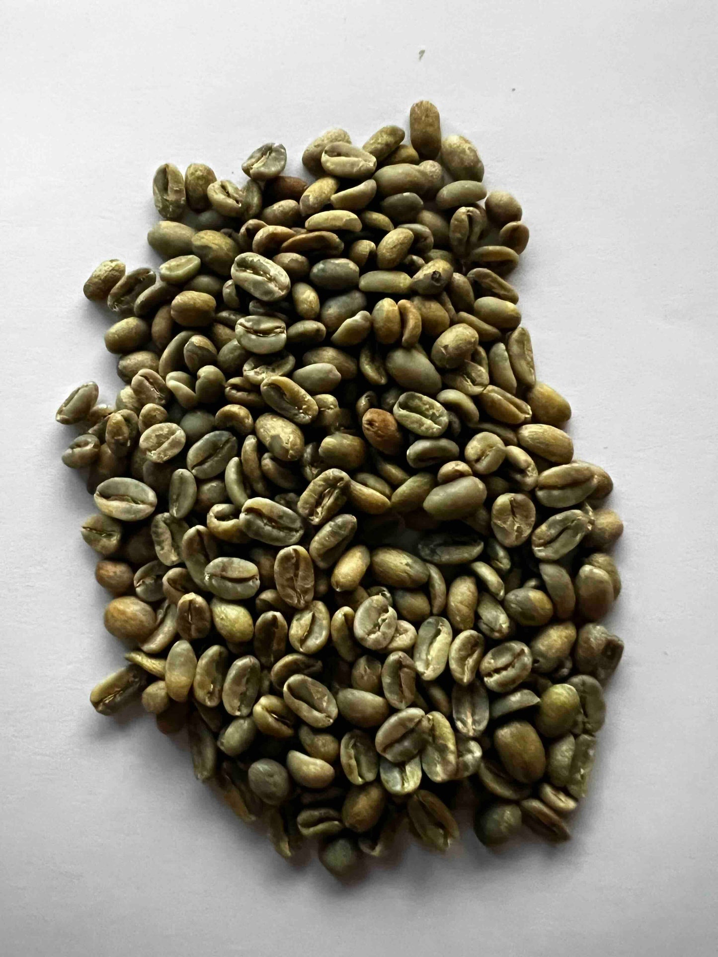 EL REFUGIO GEISHA GREEN – Colombia (Limited Edition)