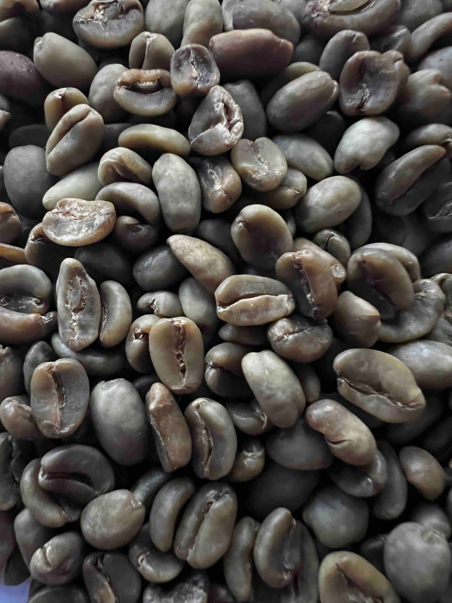 ETHIOPIA LALA SALAMA SPARKLING WATER DECAF GREEN