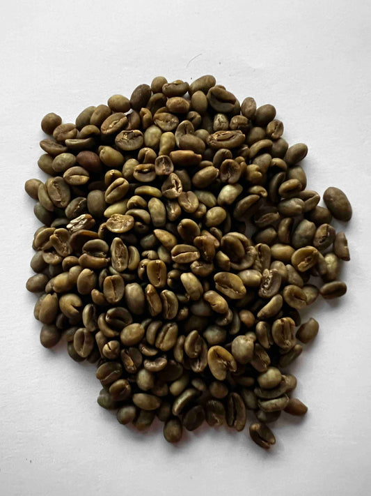 ETHIOPIA LALA SALAMA SPARKLING WATER DECAF GREEN
