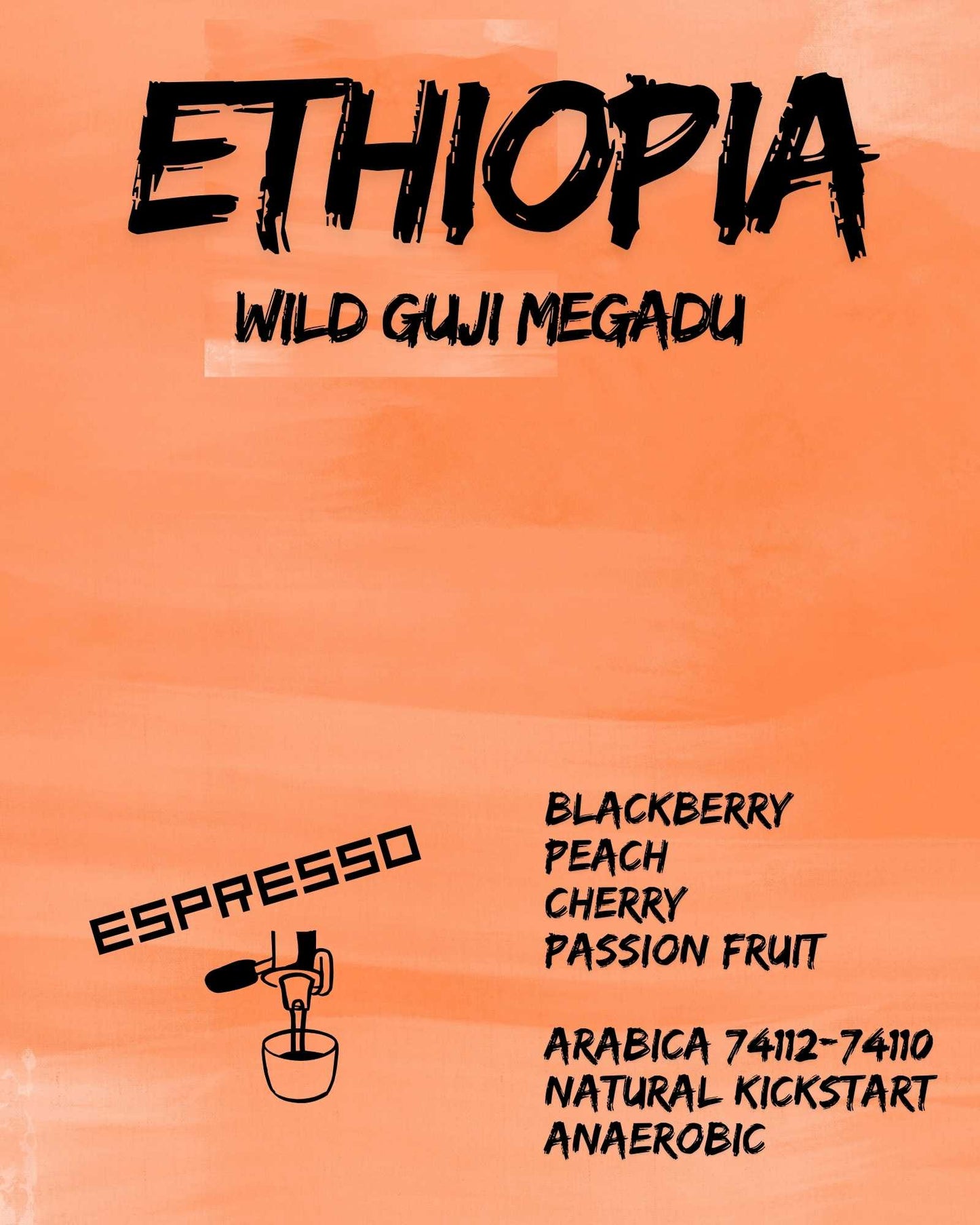 Espresso Ethiopia Wild Guji Megadu Natural