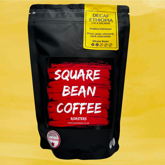 ETHIOPIA LALA SALAMA SPARKLING WATER DECAF – FILTER ROAST