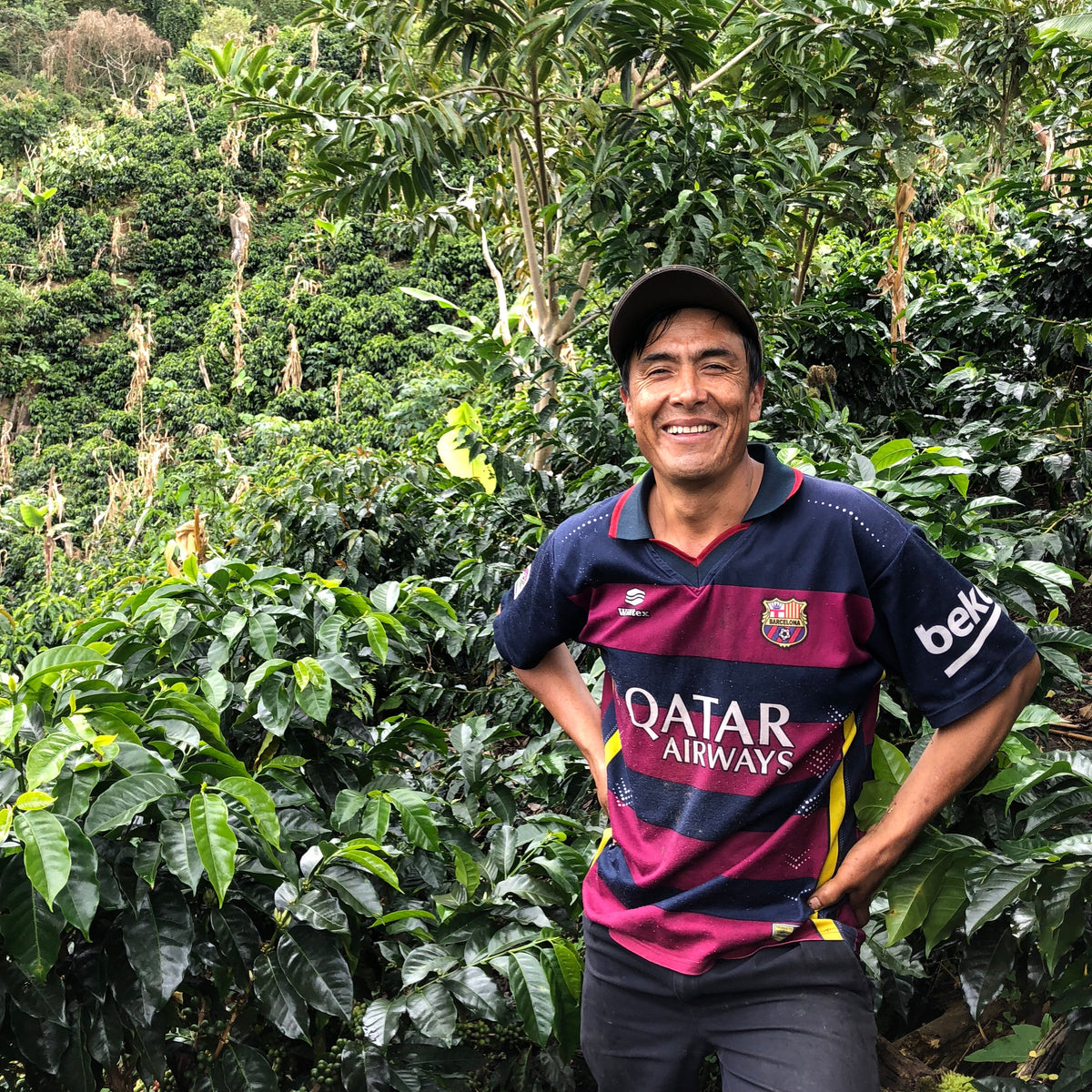 El Oso coffee from Cooperativa Agraria Frontera San Ignacio, Cajamarca, Peru