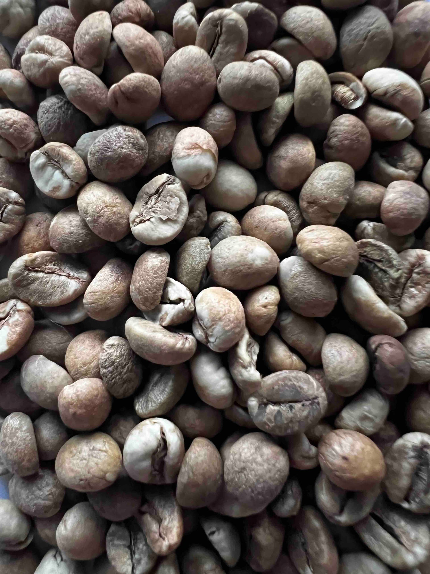 UGANDA ROBUSTA SPECIALTY NATURAL GREEN